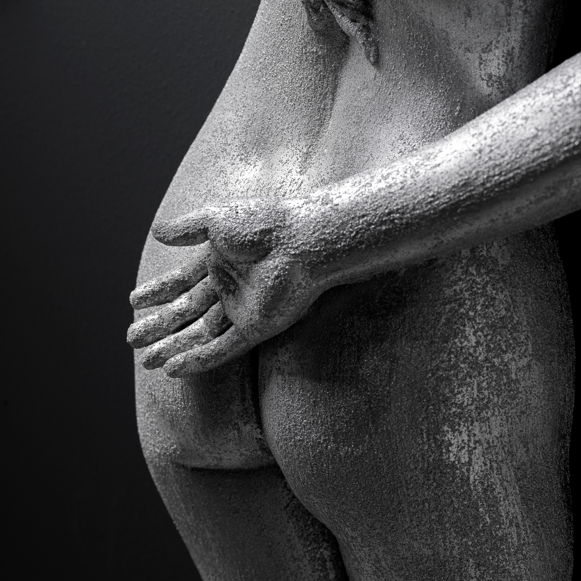 Silver Lady - Wall Art