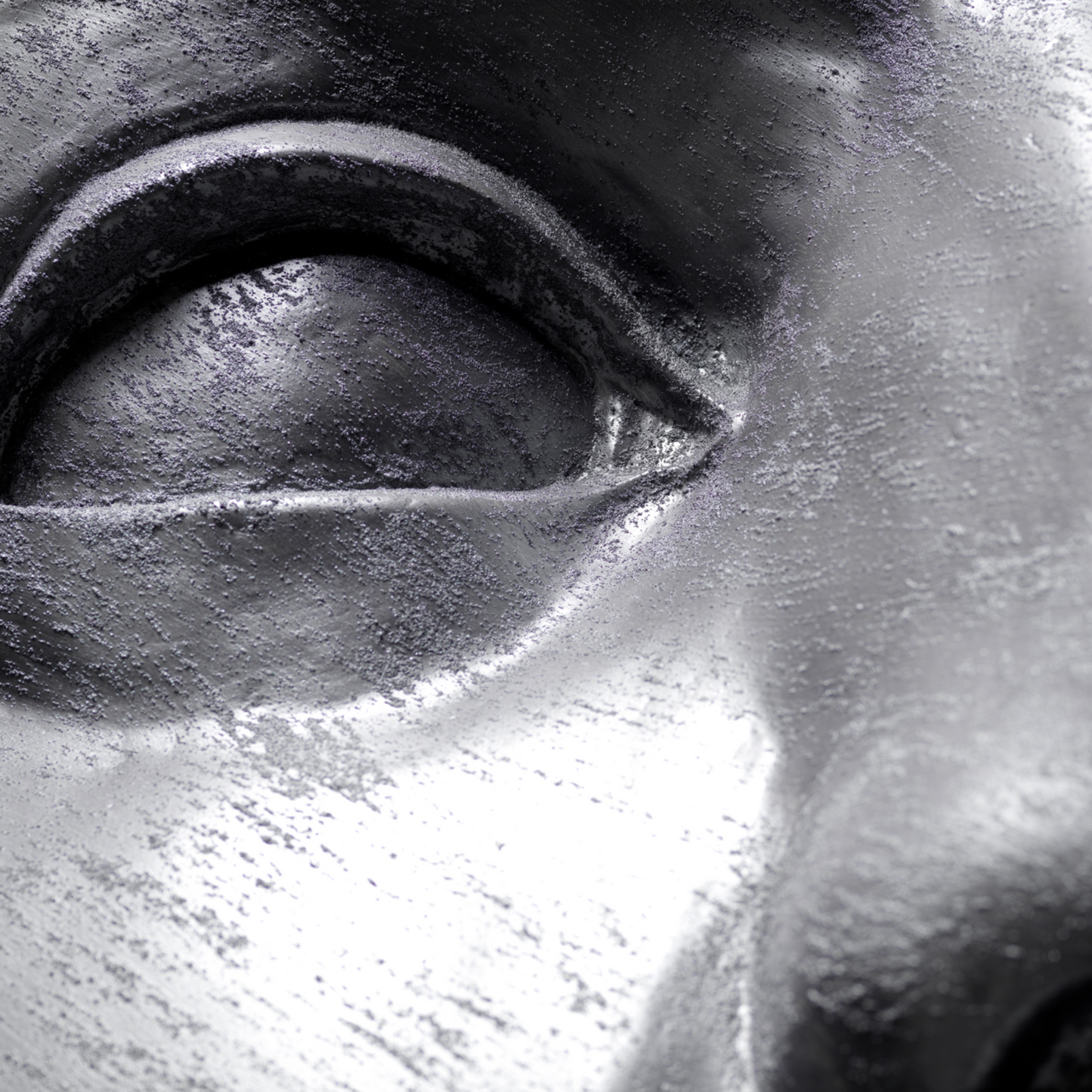 Silver Face - Wall Art