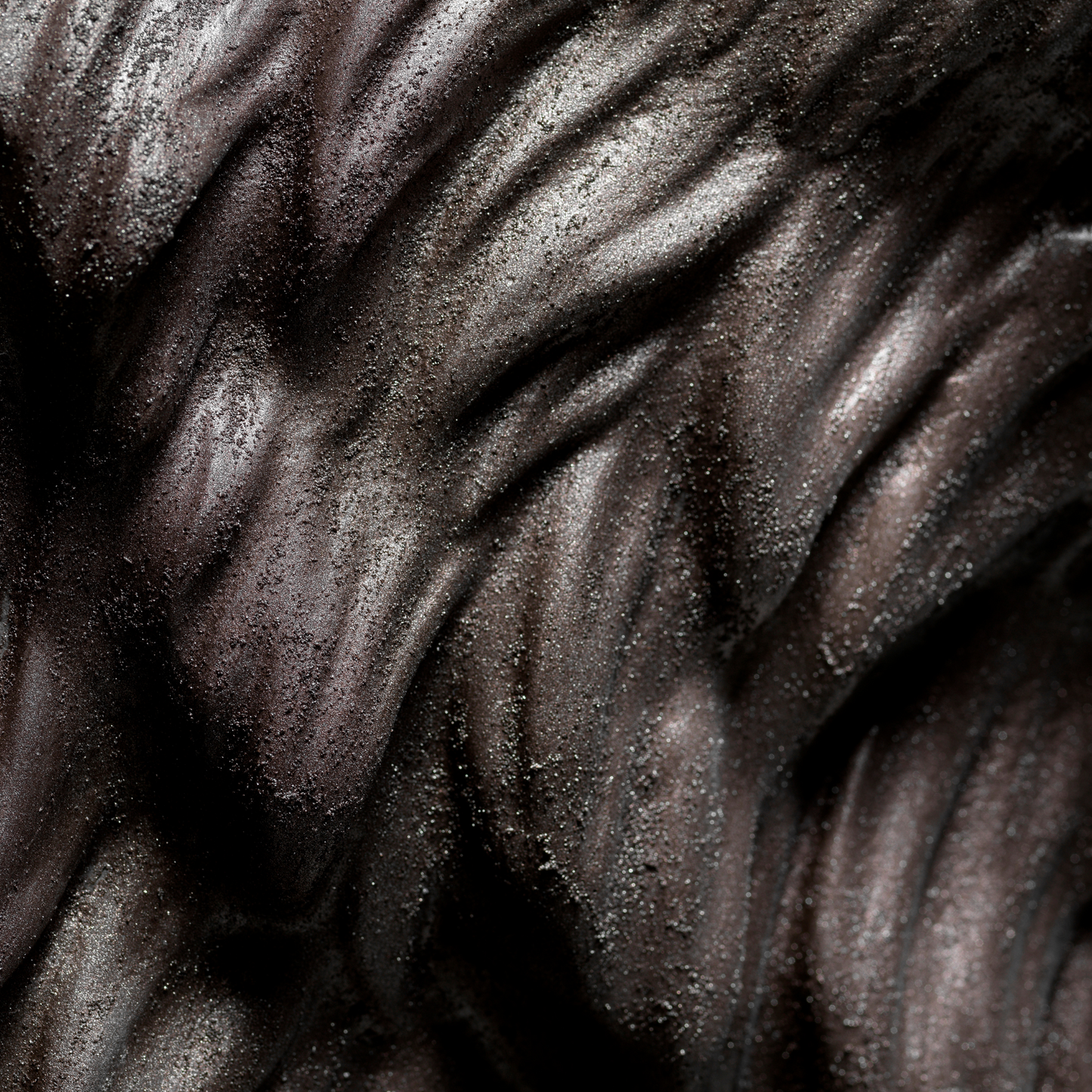 Bronze Lion - Wall Art