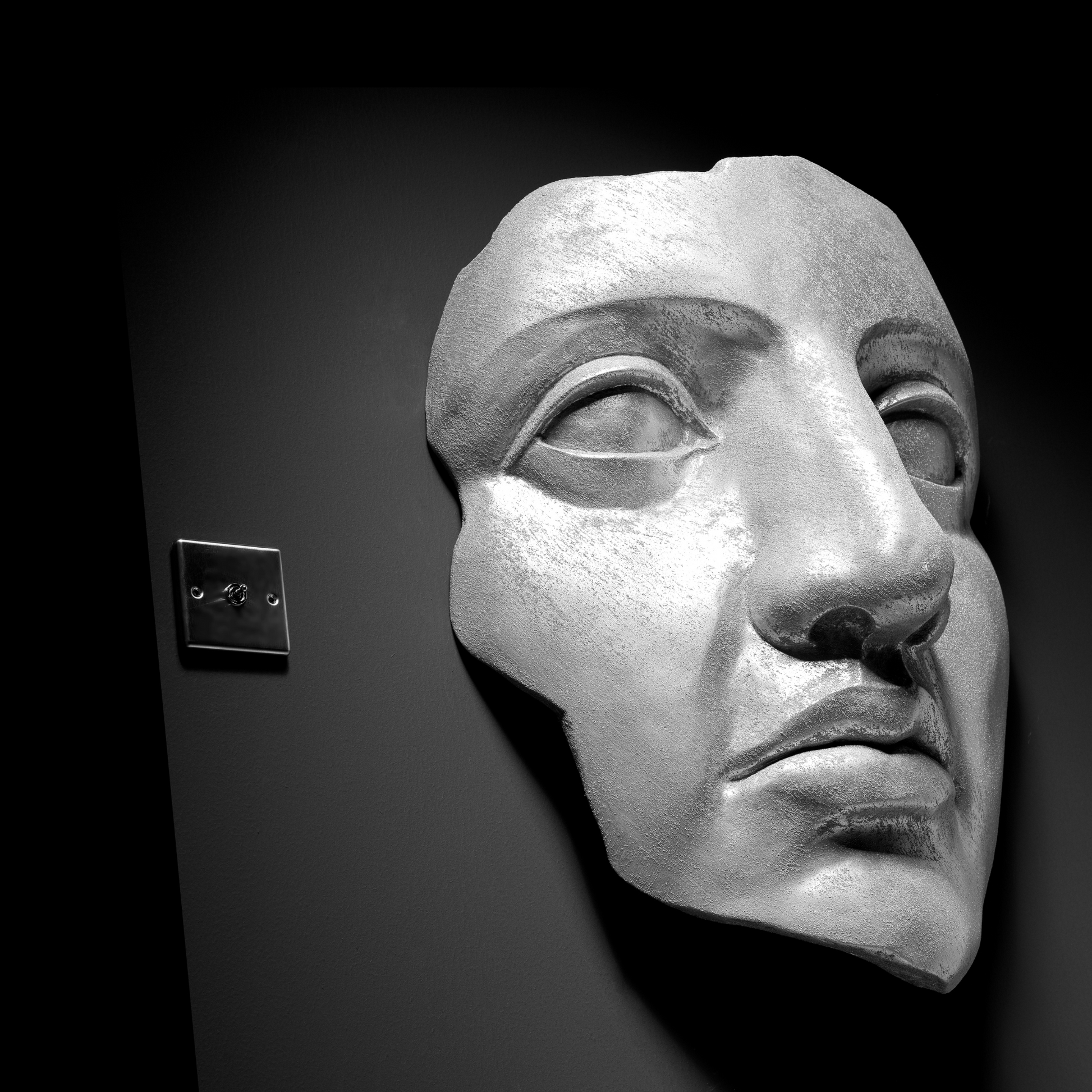 Silver Face - Wall Art