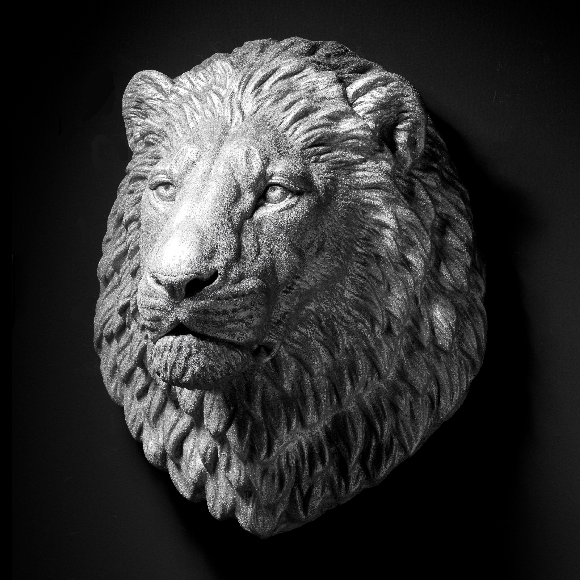 Silver Lion - Wall Art