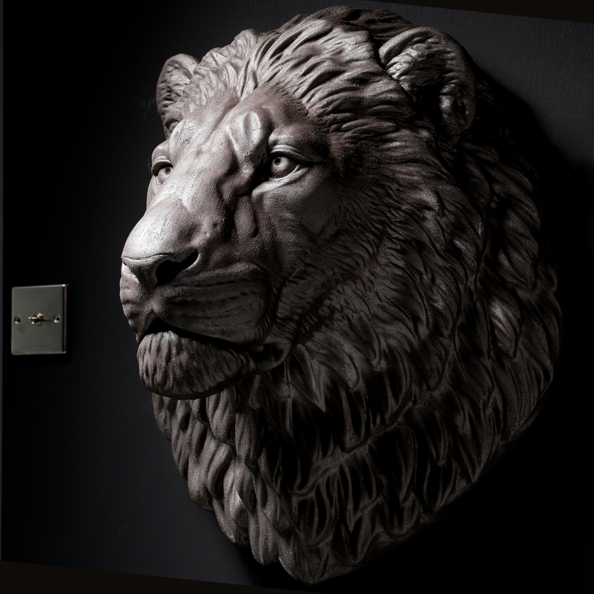 Bronze Lion - Wall Art