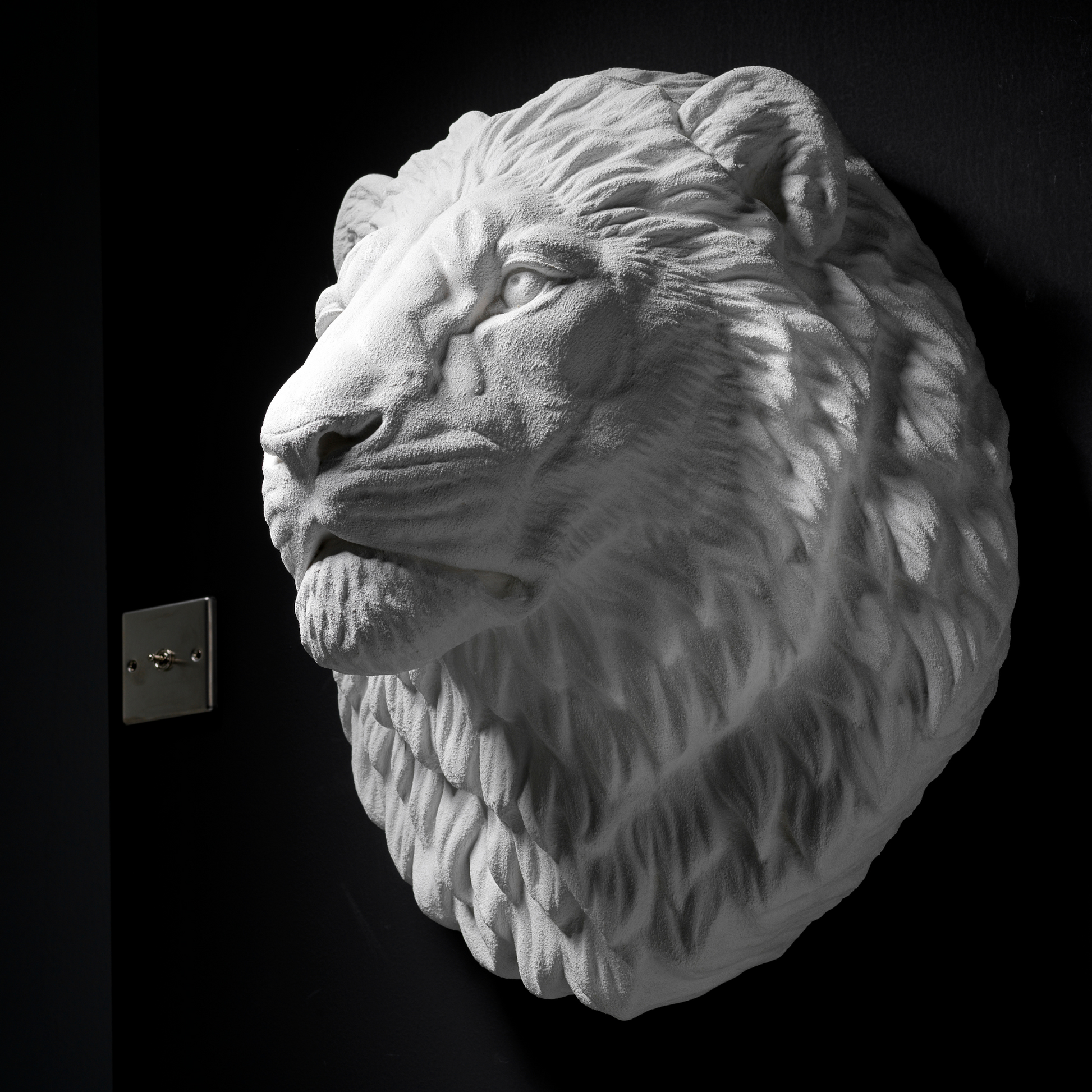White Lion Wall Art