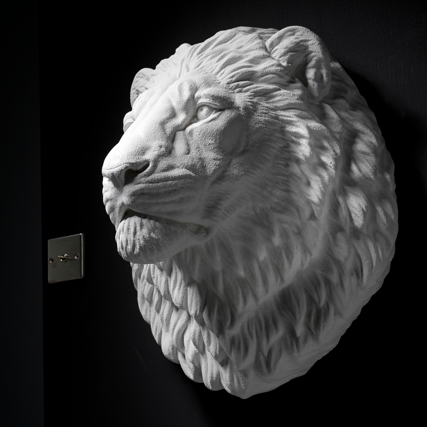 White Lion Wall Art