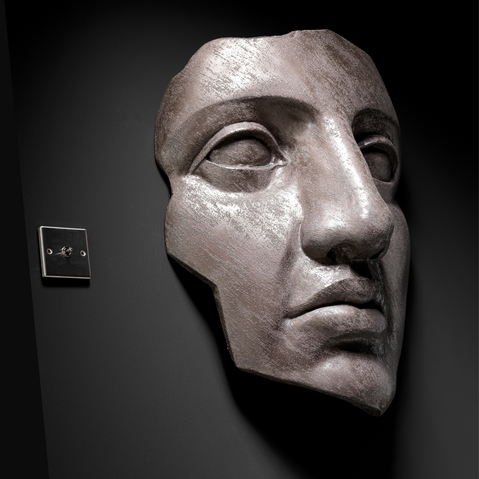 Bronze Face - Wall Art