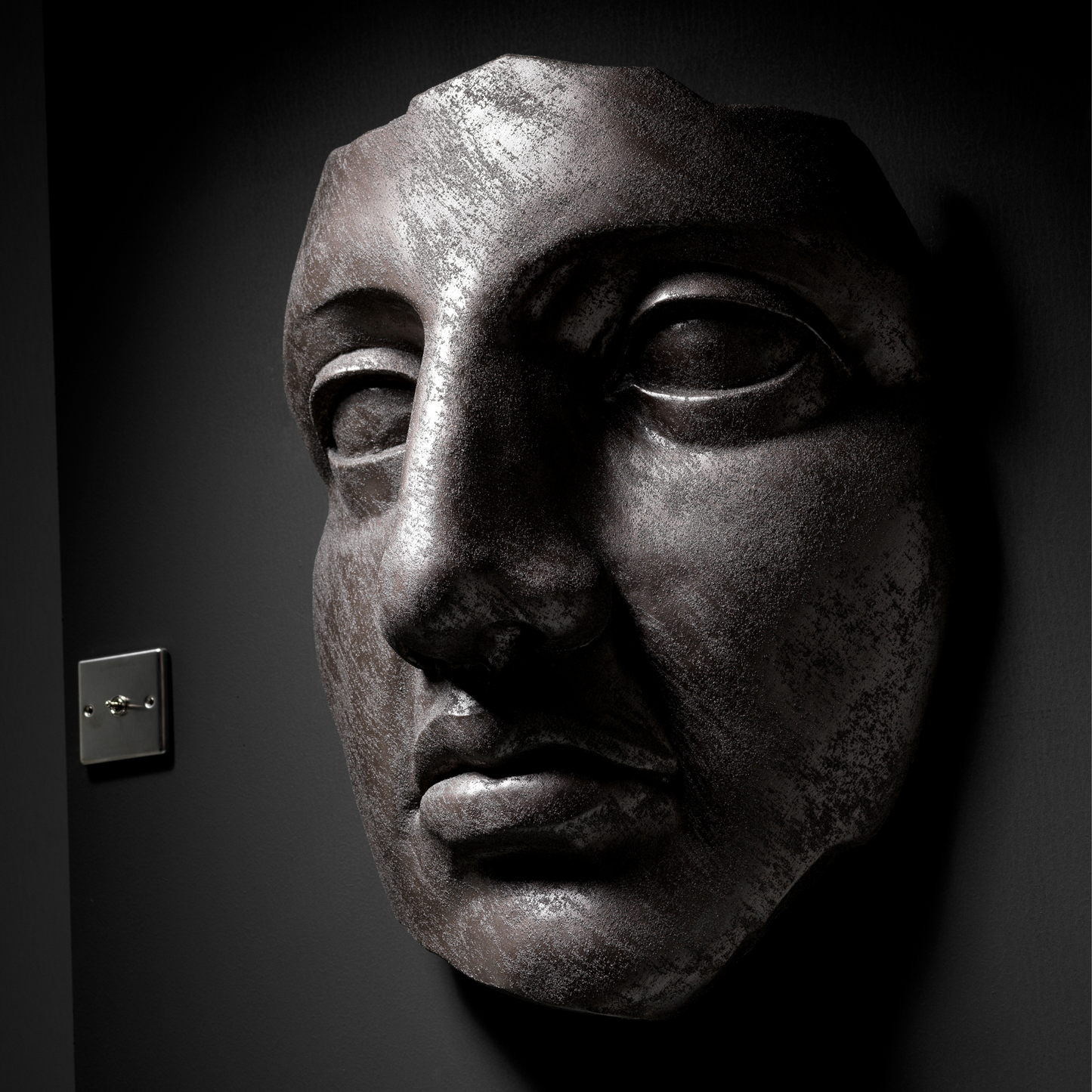 Bronze Face - Wall Art
