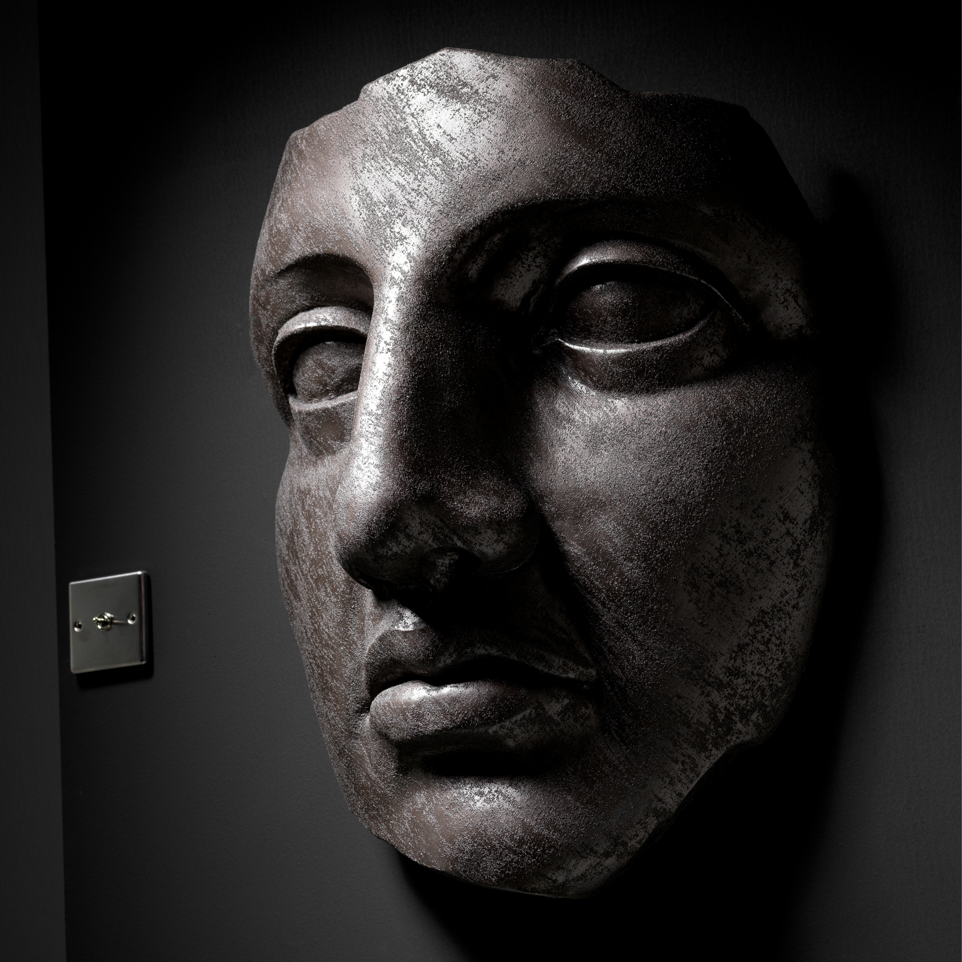 Bronze Face - Wall Art