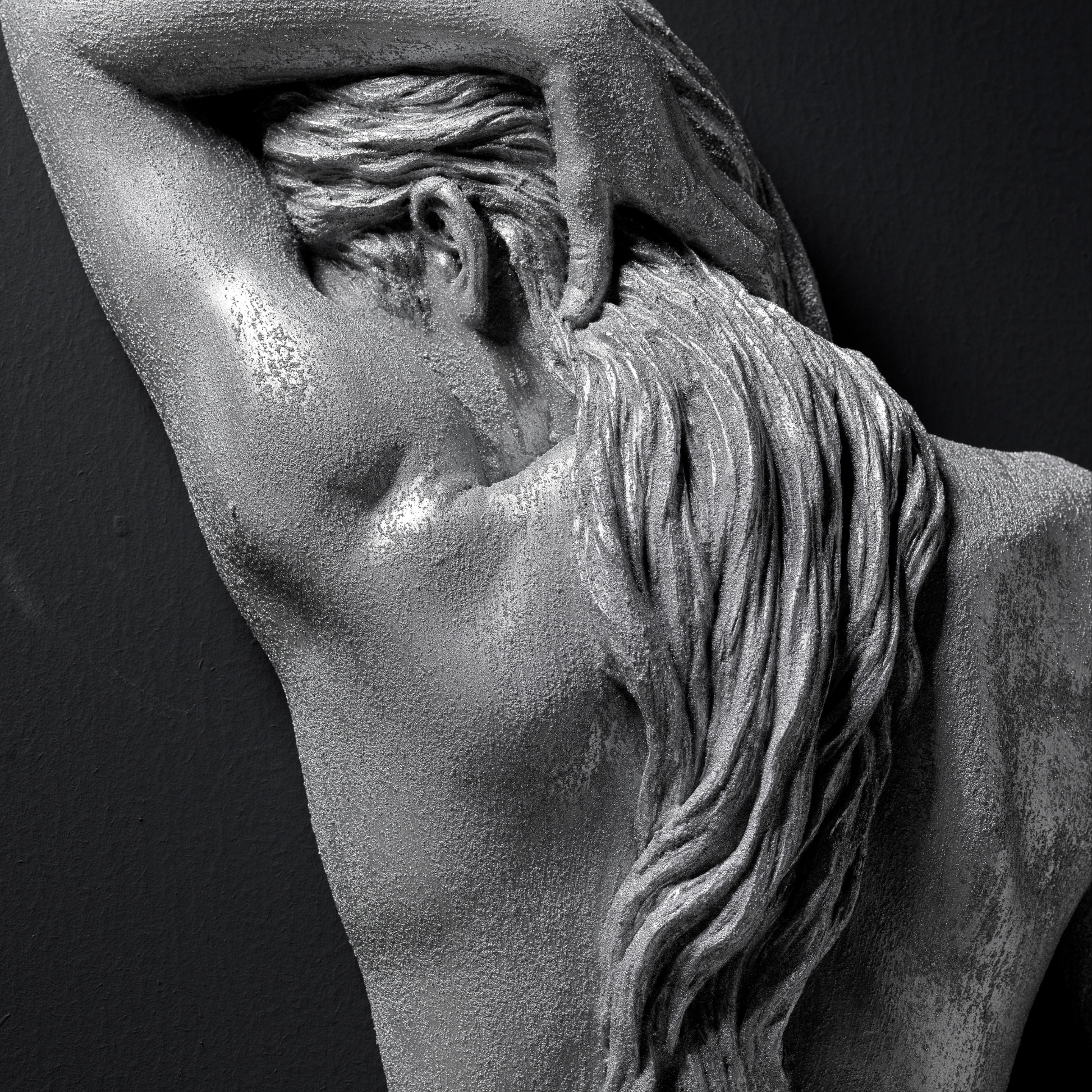 Silver Lady - Wall Art