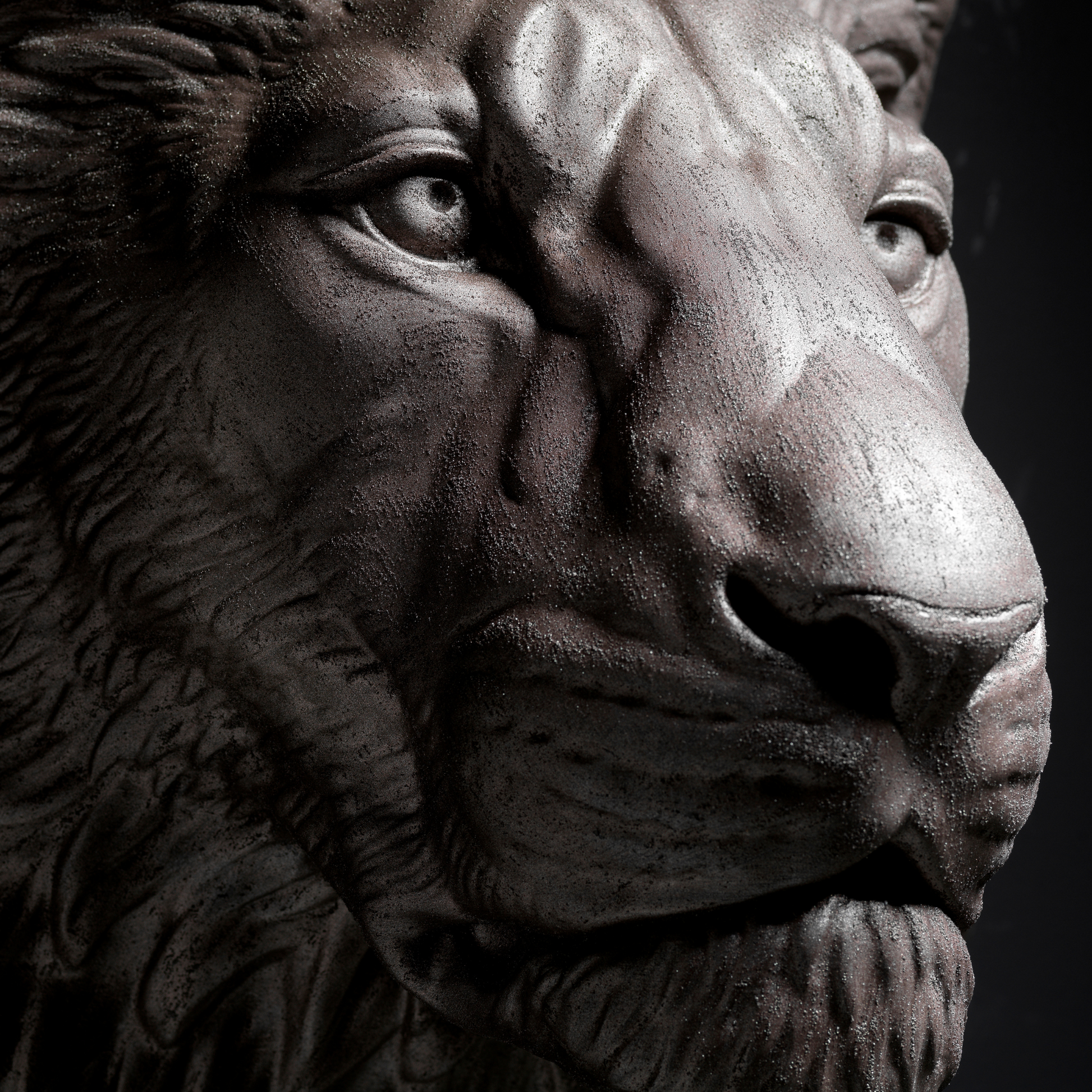 Bronze Lion - Wall Art