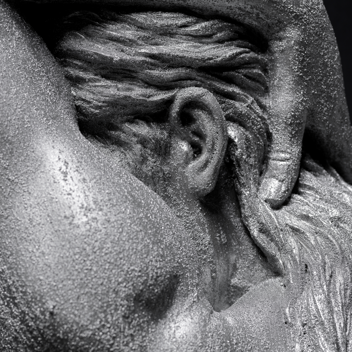 Silver Lady - Wall Art