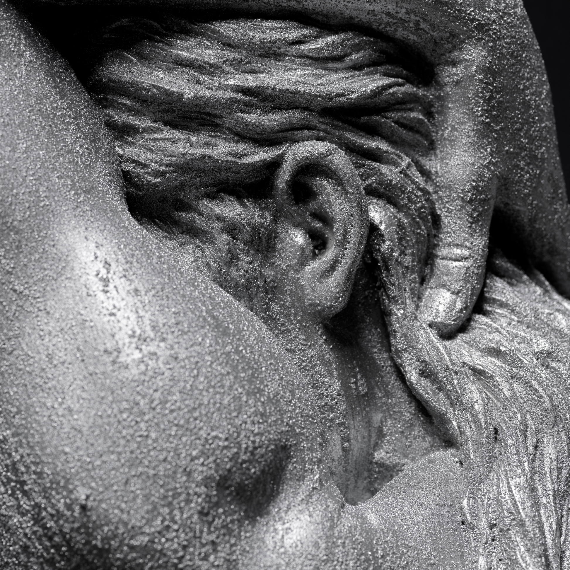 Silver Lady - Wall Art