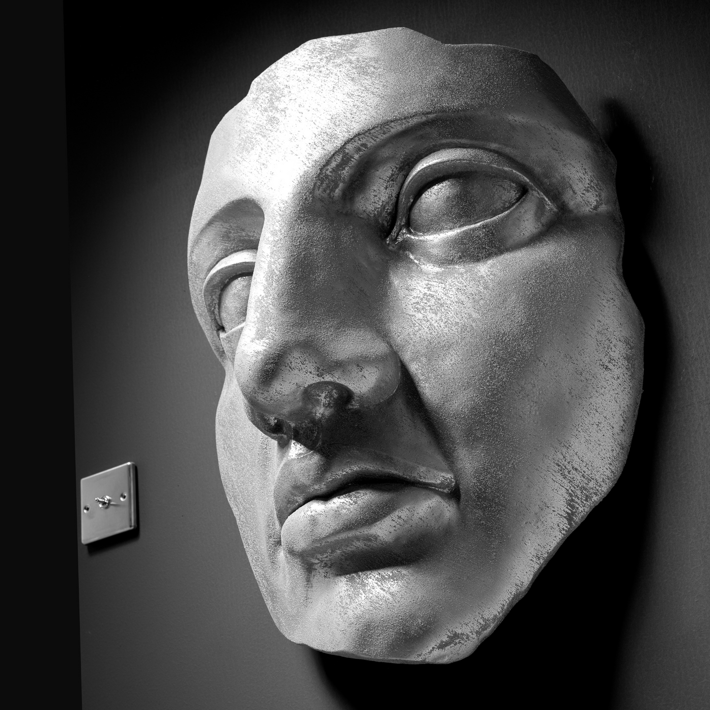 Silver Face - Wall Art