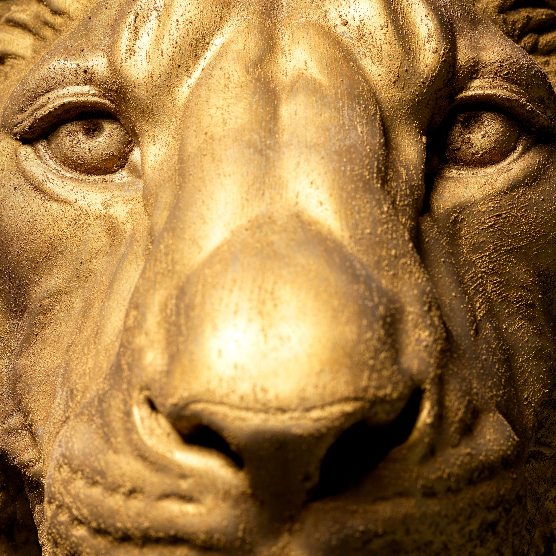 Large Lion Wall Art - Wall Mounted - Golden Lion Head