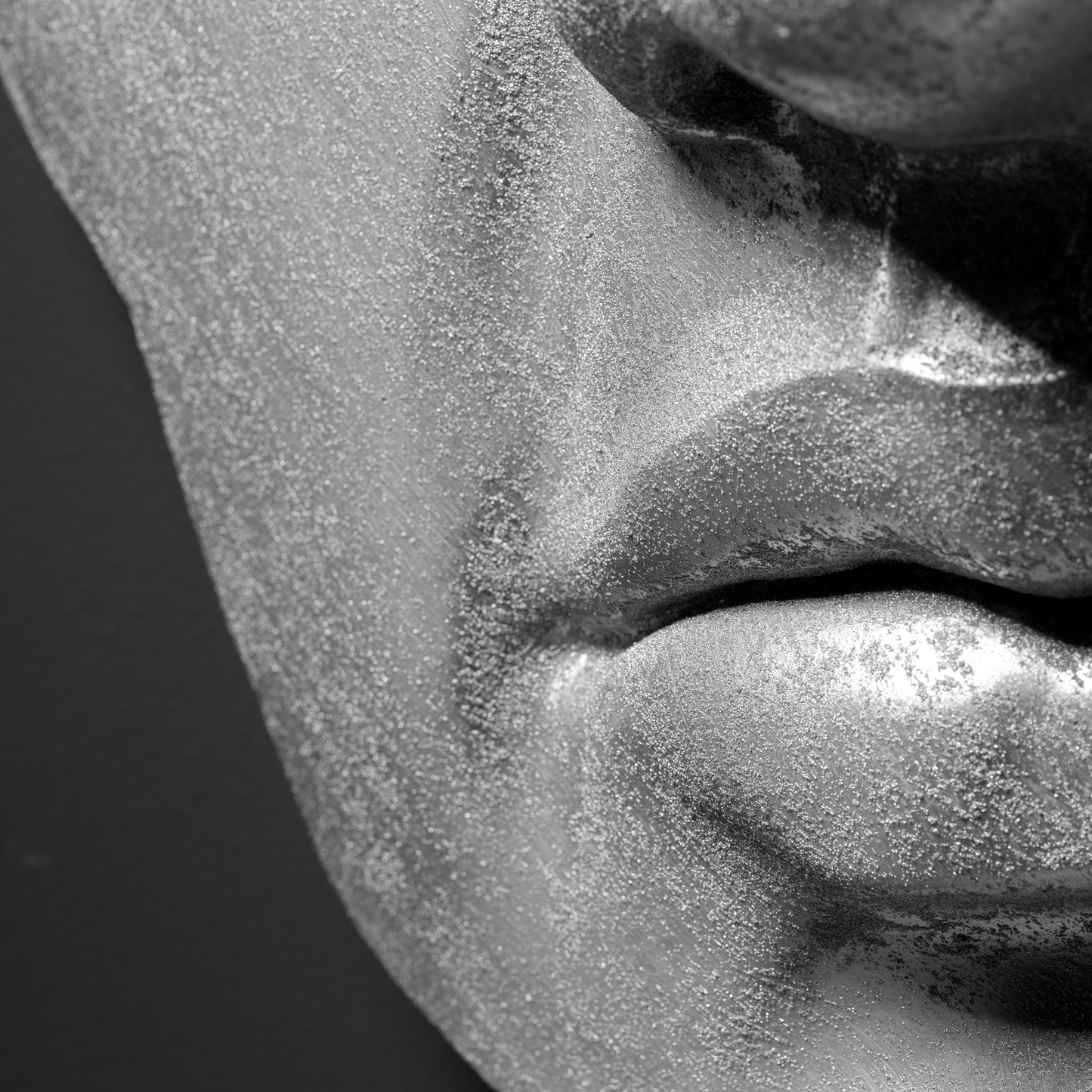 Silver Face - Wall Art