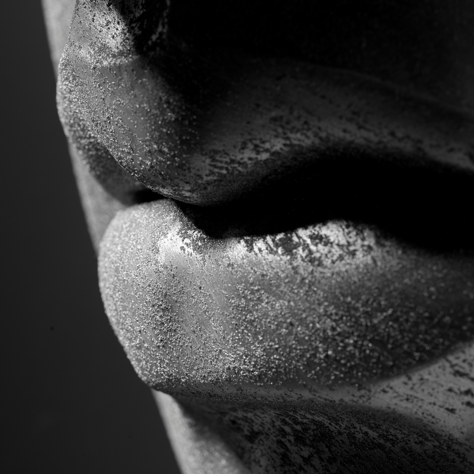 Silver Face - Wall Art