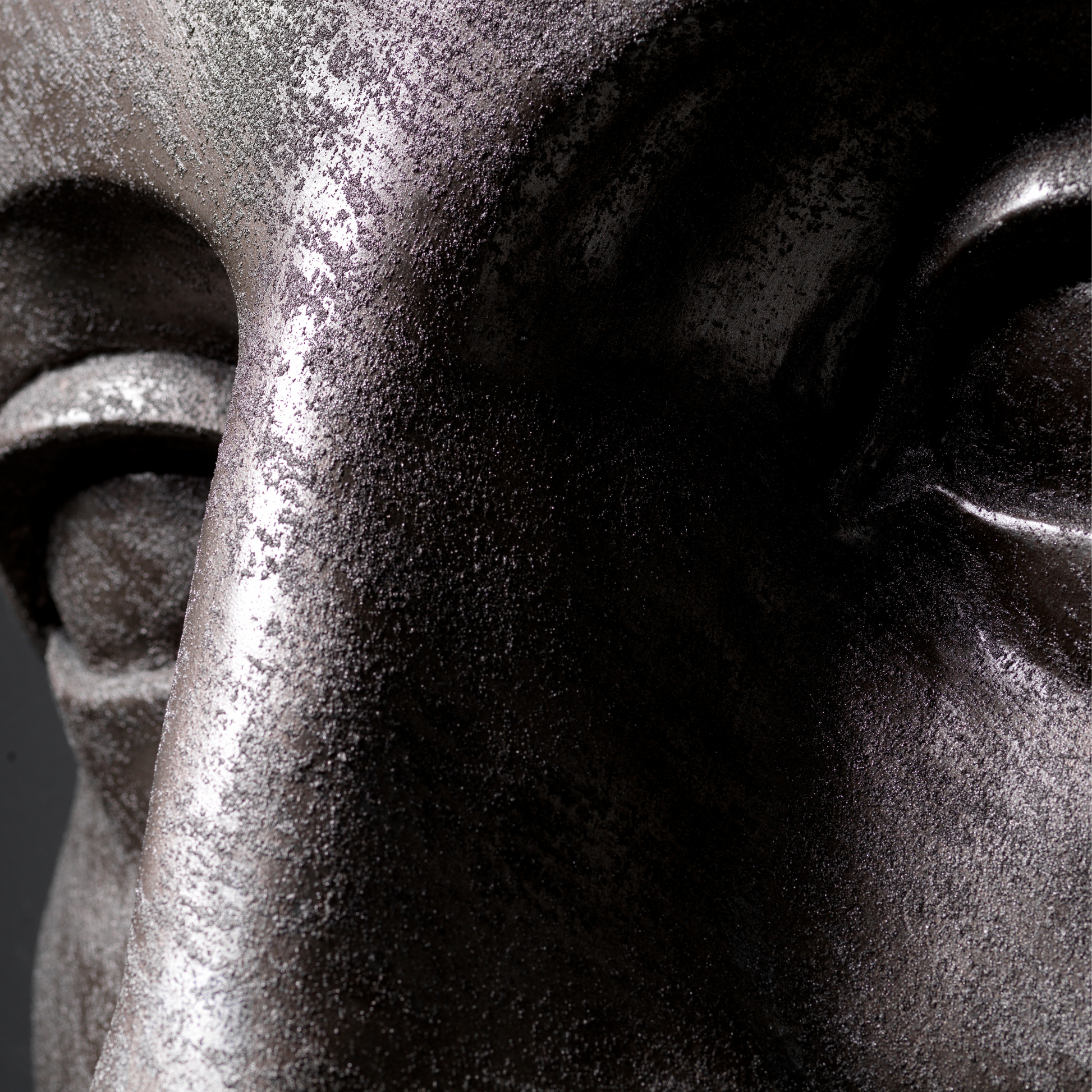 Bronze Face - Wall Art