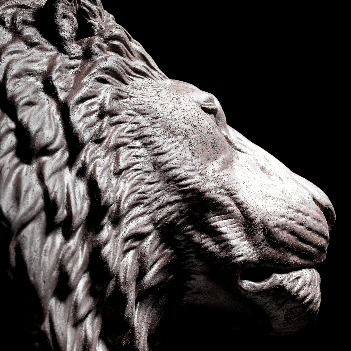 Bronze Lion - Wall Art