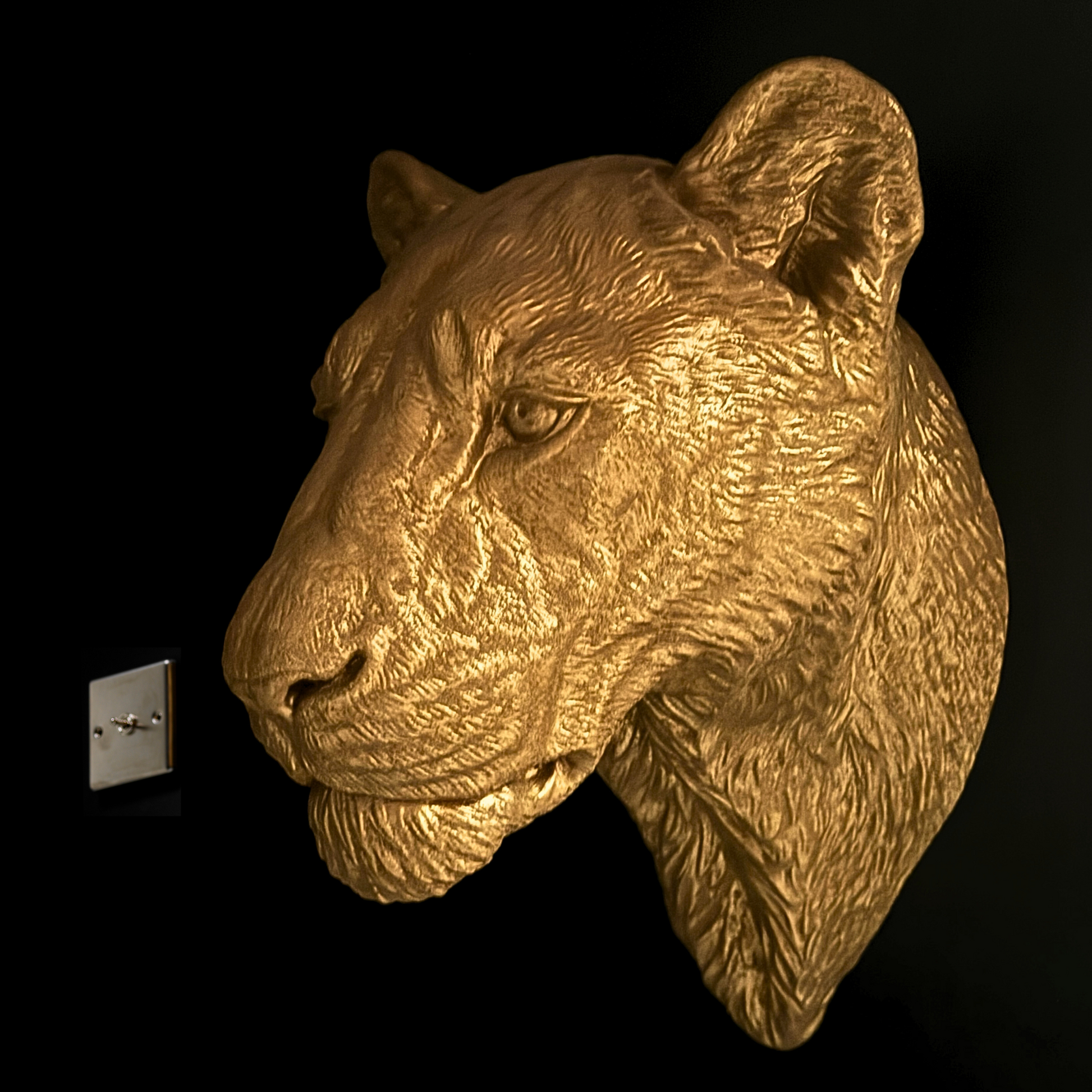 Large Lioness Wall Art - Wall Mounted - Golden Lioness Head