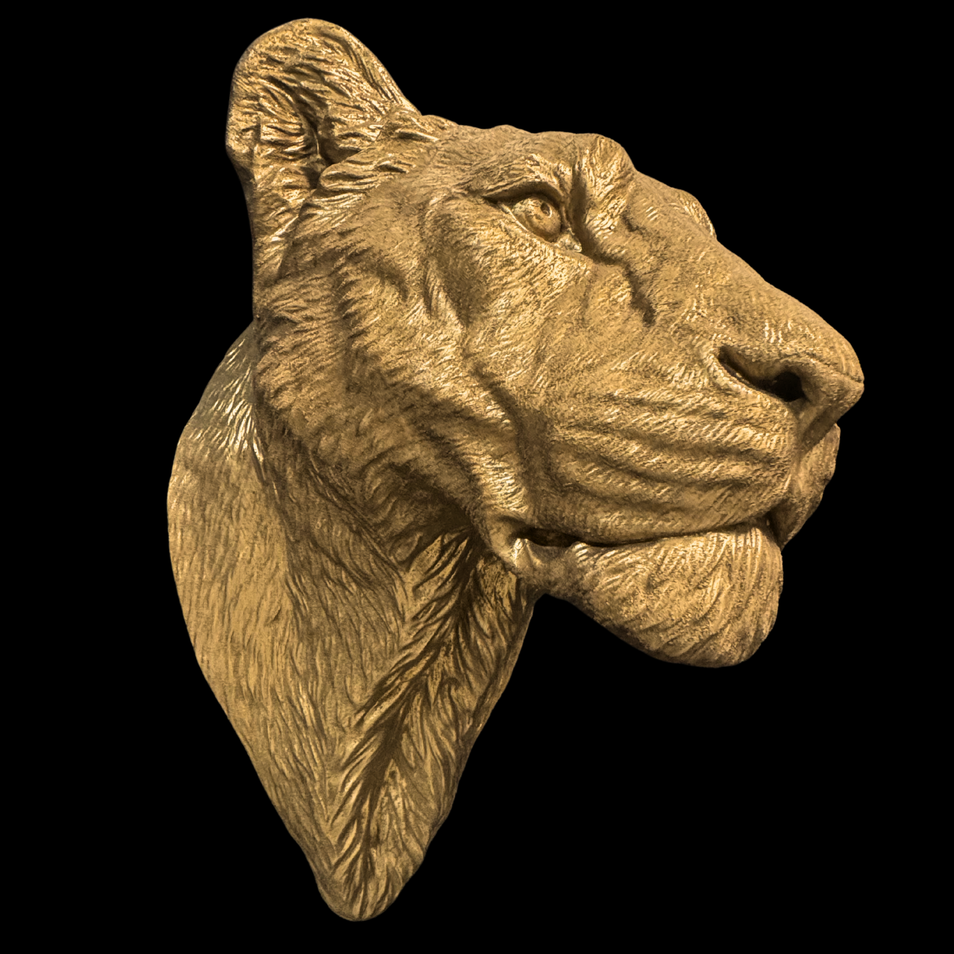 Large Lioness Wall Art - Wall Mounted - Golden Lioness Head