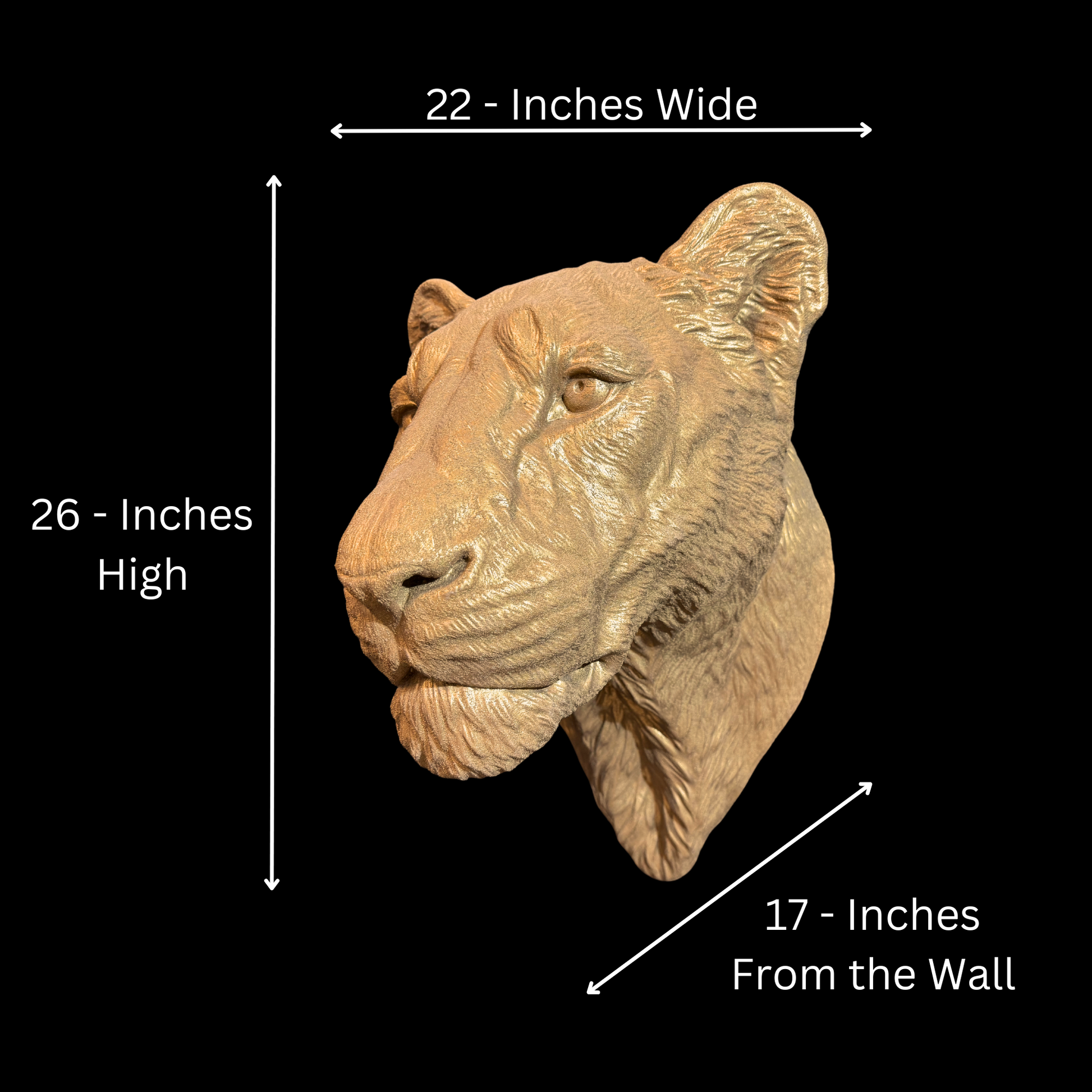 Large Lioness Wall Art - Wall Mounted - Golden Lioness Head