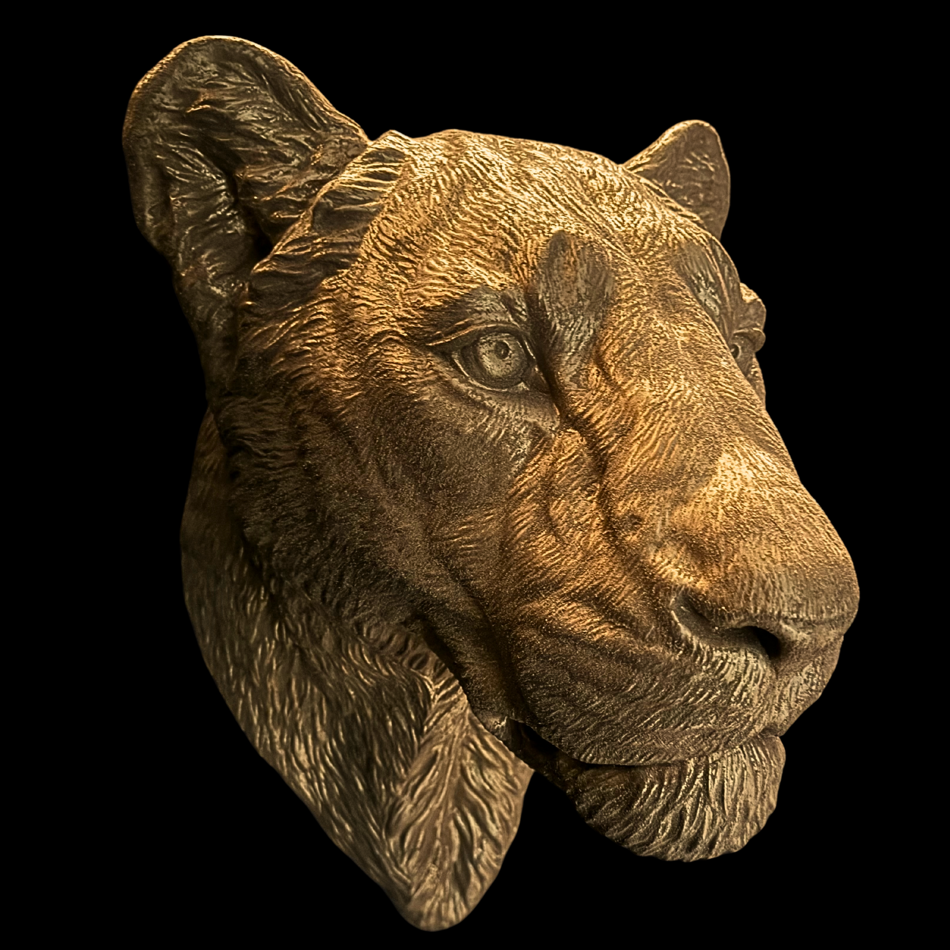Large Lioness Wall Art - Wall Mounted - Golden Lioness Head