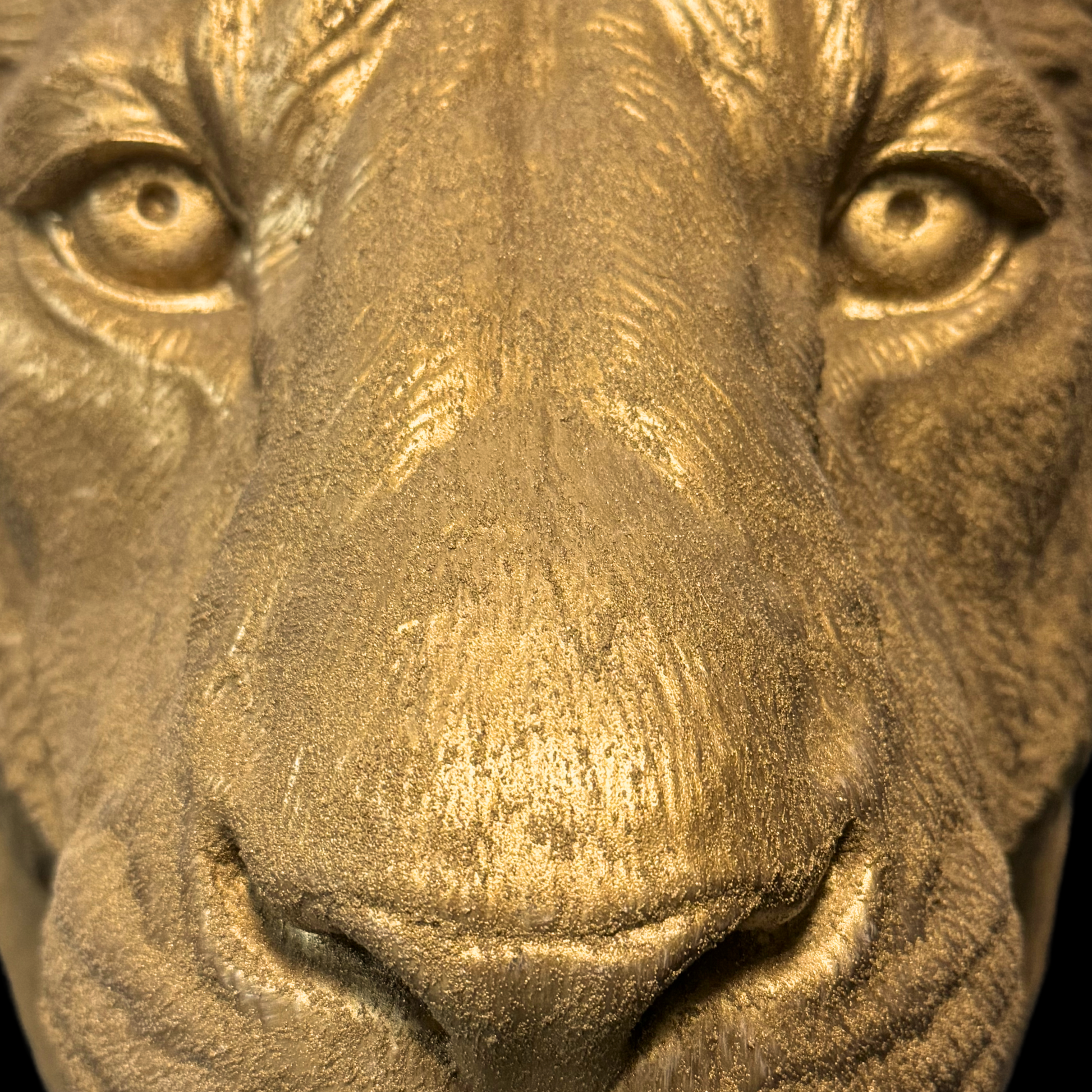 Large Lioness Wall Art - Wall Mounted - Golden Lioness Head