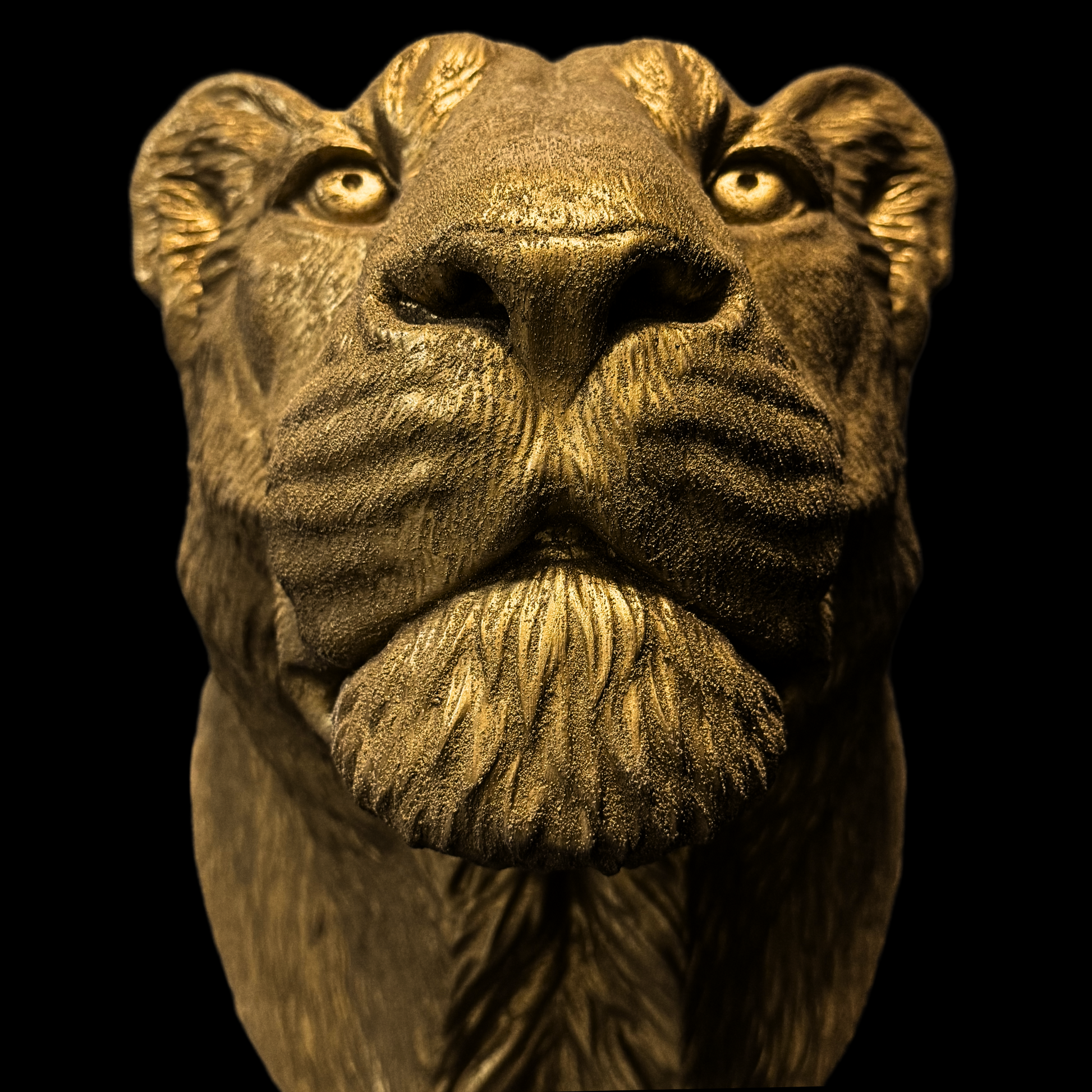 Large Lioness Wall Art - Wall Mounted - Golden Lioness Head