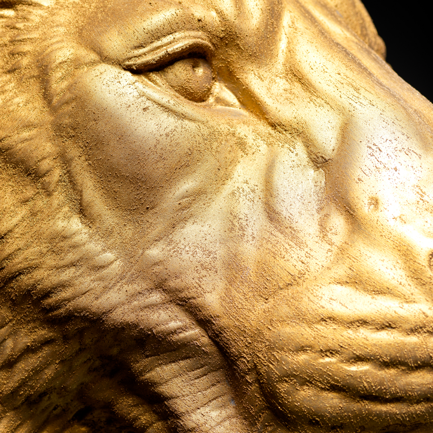 Large Lioness Wall Art - Wall Mounted - Golden Lioness Head