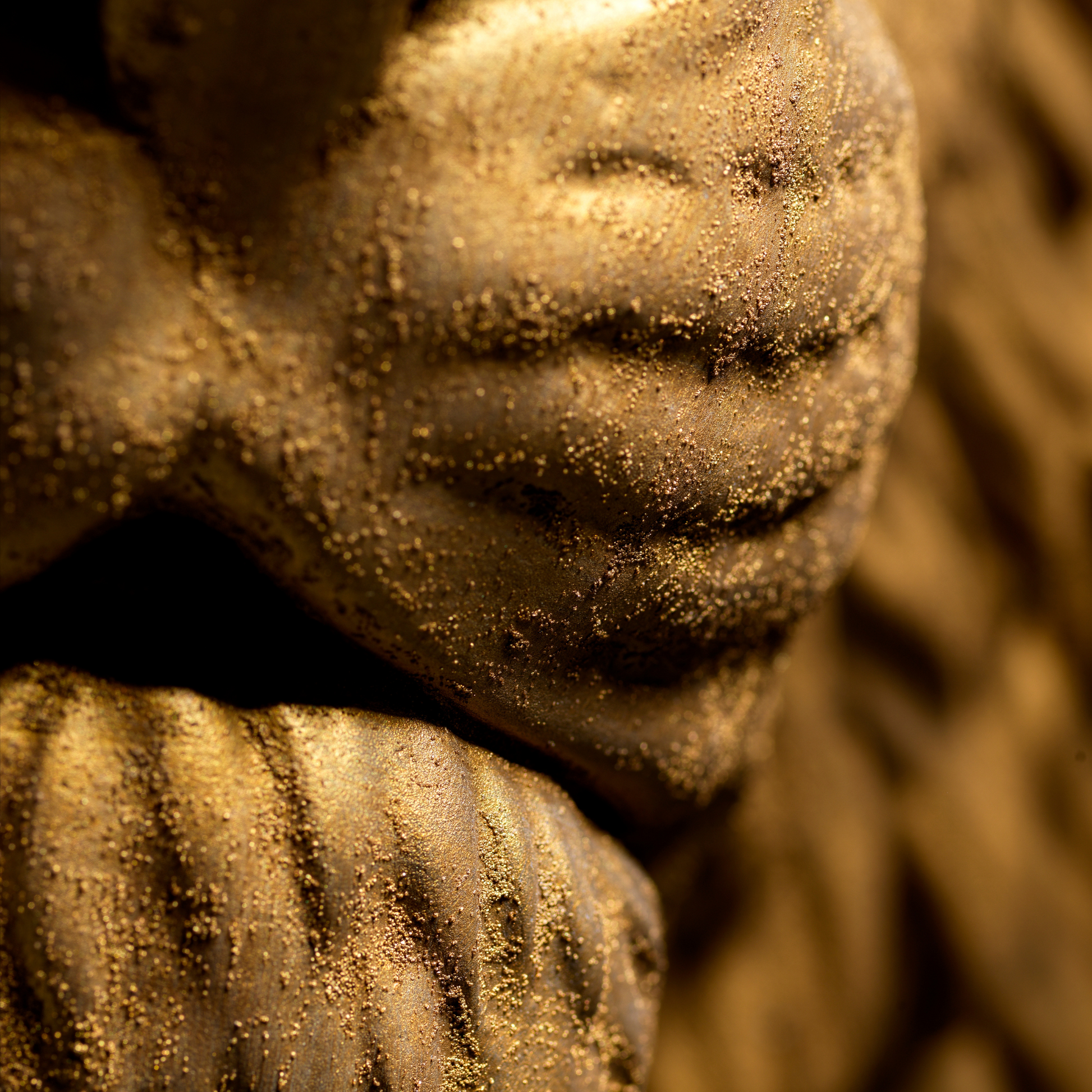 Large Lioness Wall Art - Wall Mounted - Golden Lioness Head