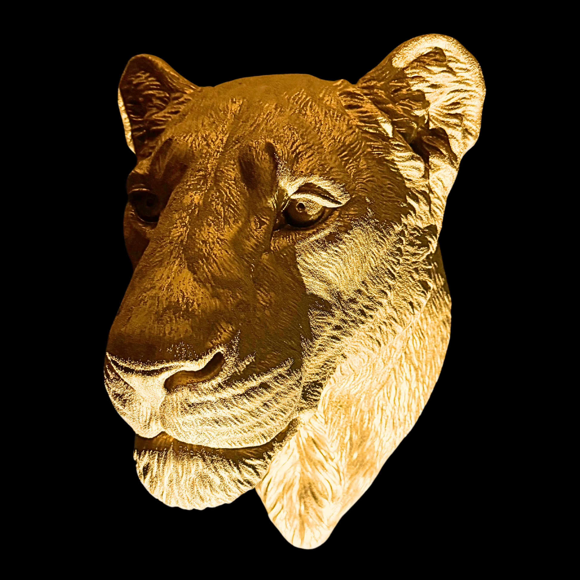 Large Lioness Wall Art - Wall Mounted - Golden Lioness Head
