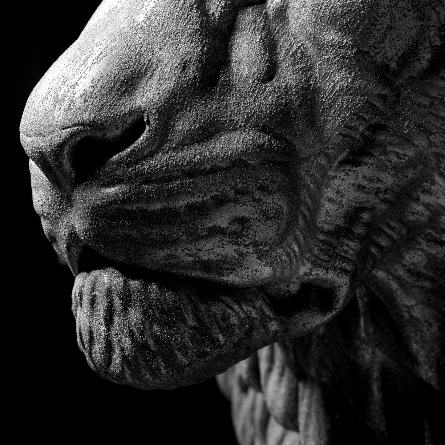 Extra Large 3D Wall Art Lion Sculpture (Silver Venetian Plaster)