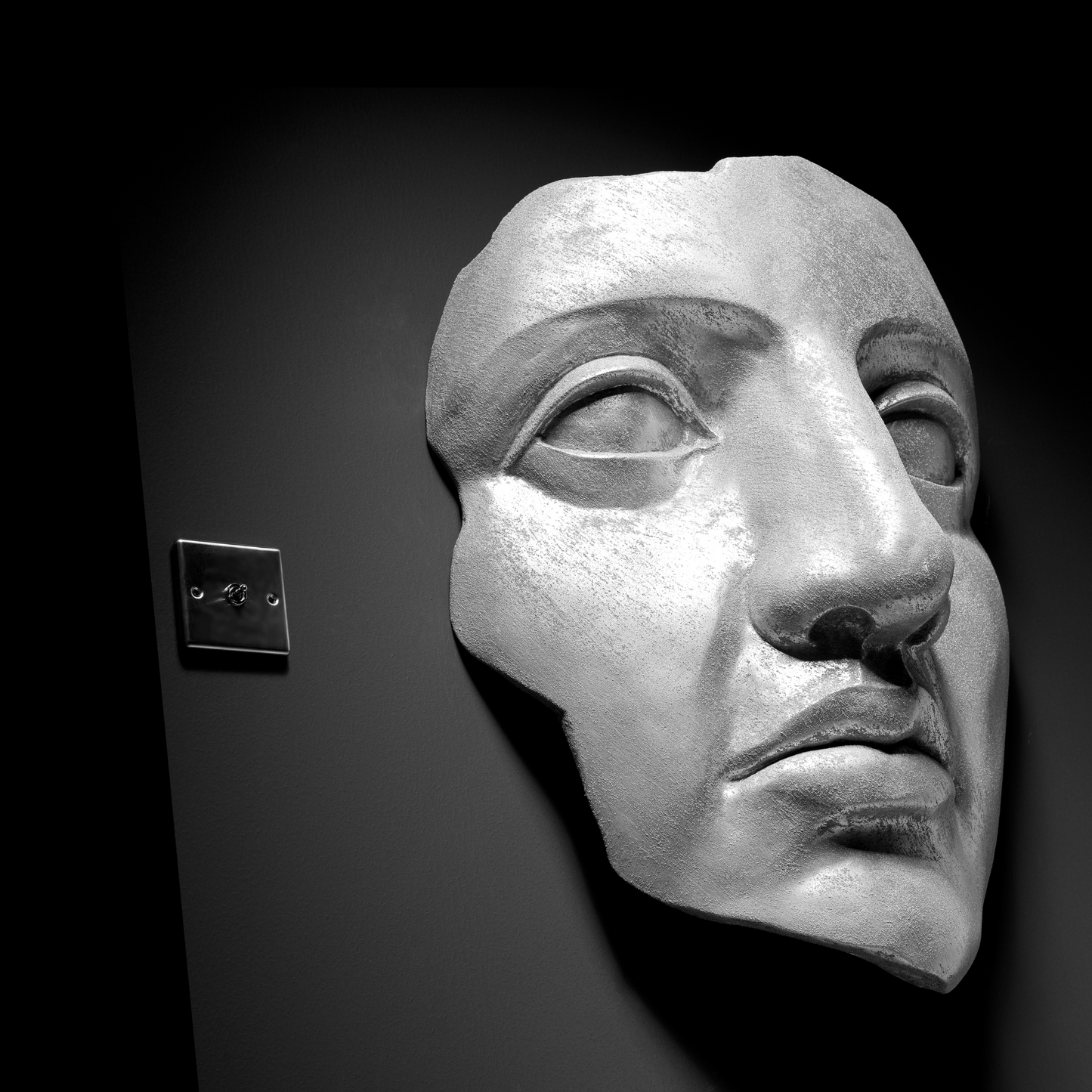 Extra Large 3D Wall Art Face Sculpture (Silver Venetian Plaster)