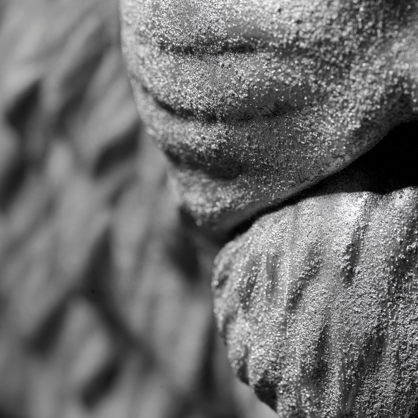 Extra Large 3D Wall Art Lion Sculpture (Silver Venetian Plaster)