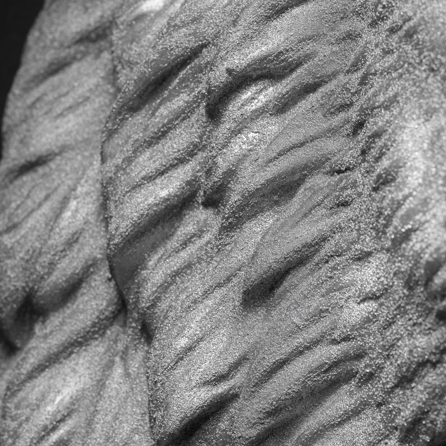 Extra Large 3D Wall Art Lion Sculpture (Silver Venetian Plaster)