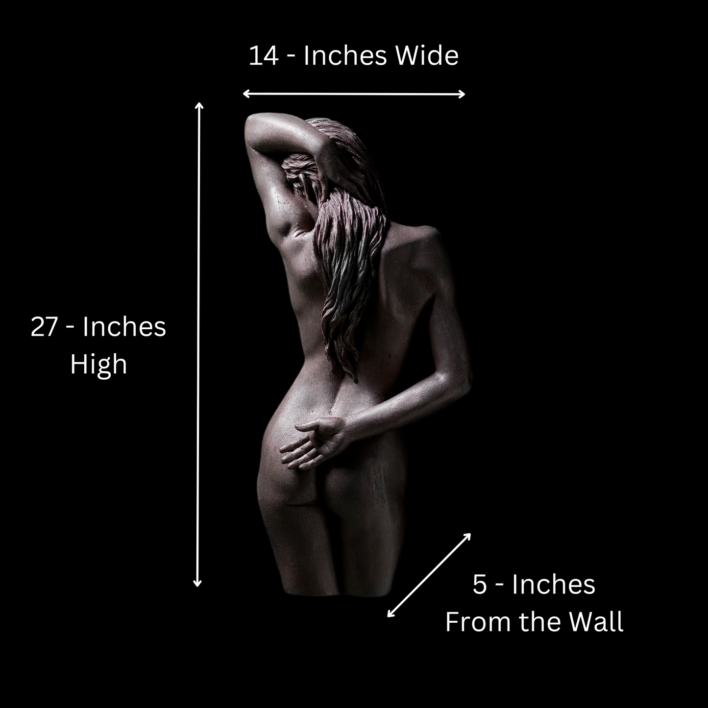 Large 3D Wall Art Lady Sculpture (Bronze Venetian Plaster)