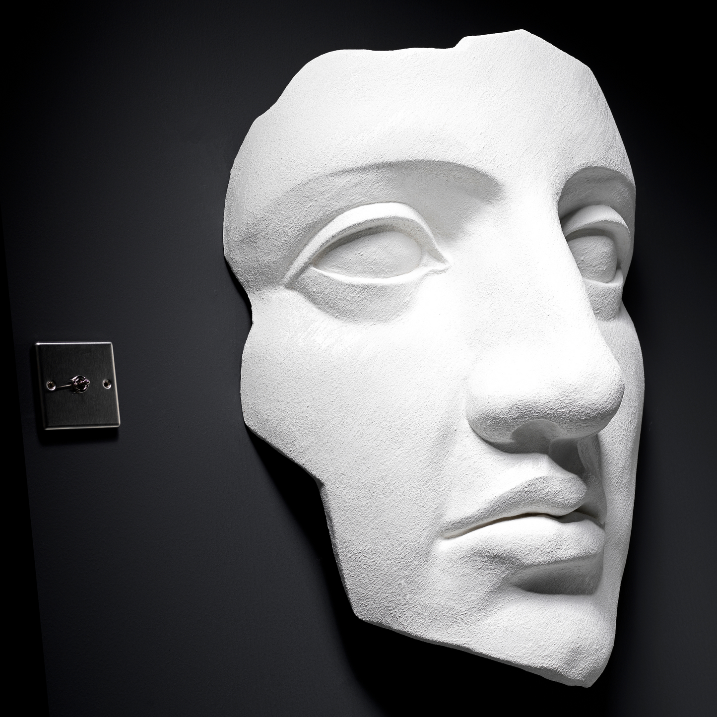 Extra Large 3D Wall Art Face Sculpture (White Venetian Plaster)