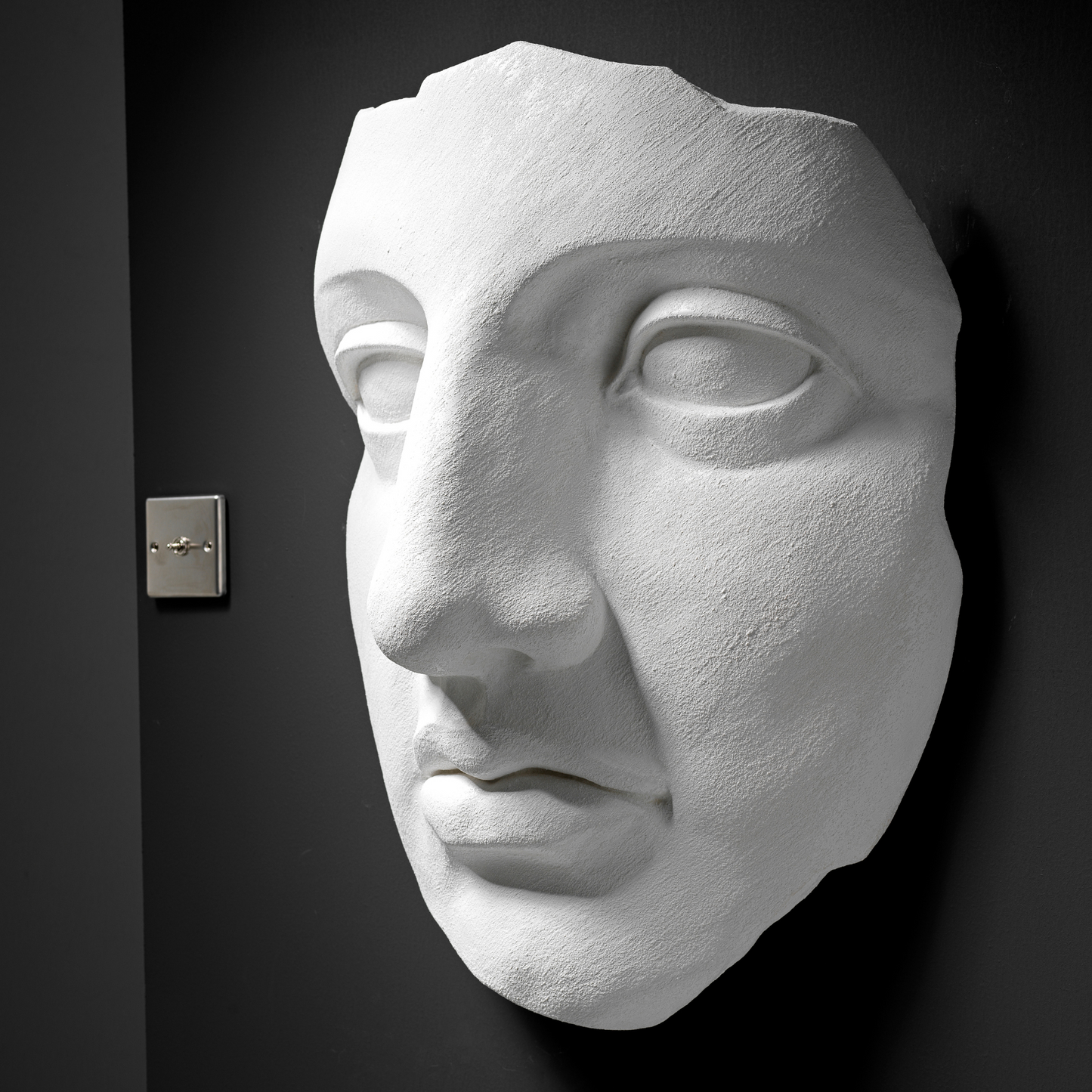 Extra Large 3D Wall Art Face Sculpture (White Venetian Plaster)