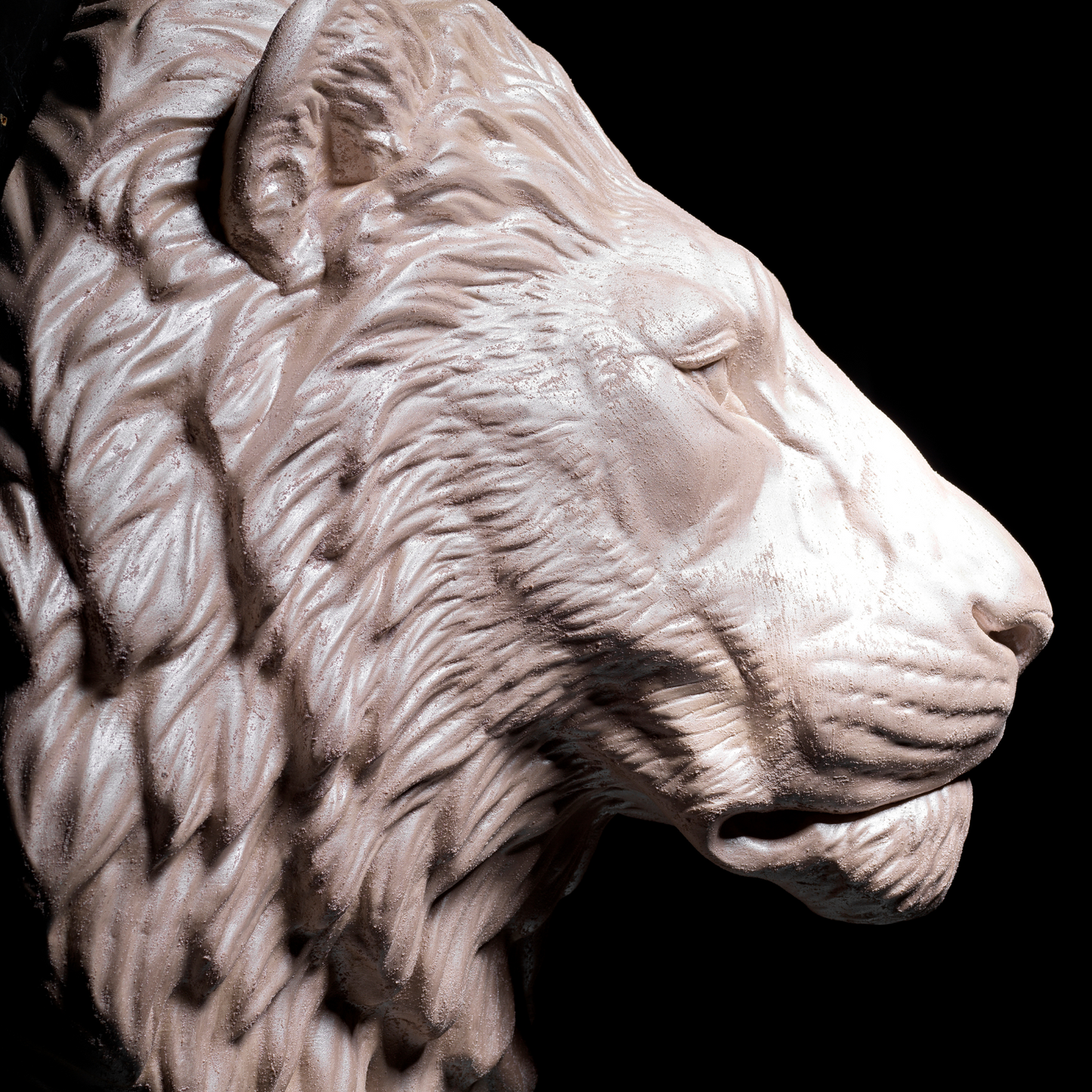 Extra Large 3D Wall Art Lion Sculpture (Pearl Venetian Plaster)