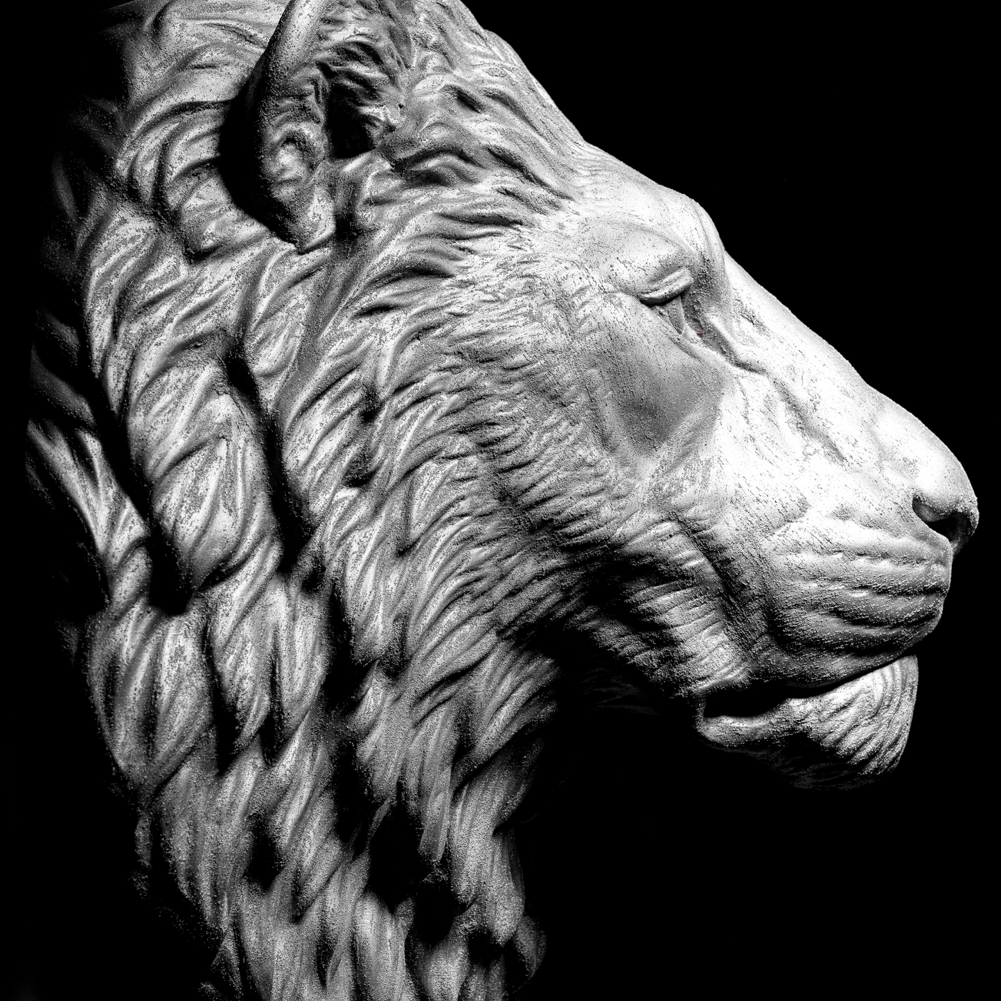 Extra Large 3D Wall Art Lion Sculpture (Silver Venetian Plaster)