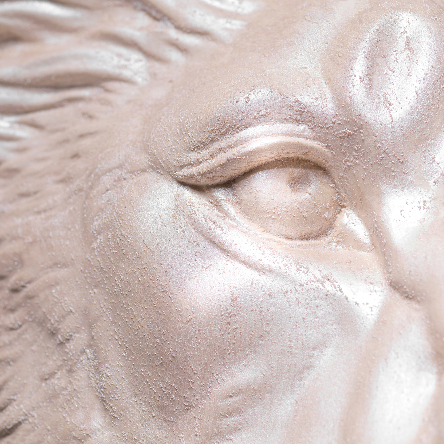 Extra Large 3D Wall Art Lion Sculpture (Pearl Venetian Plaster)