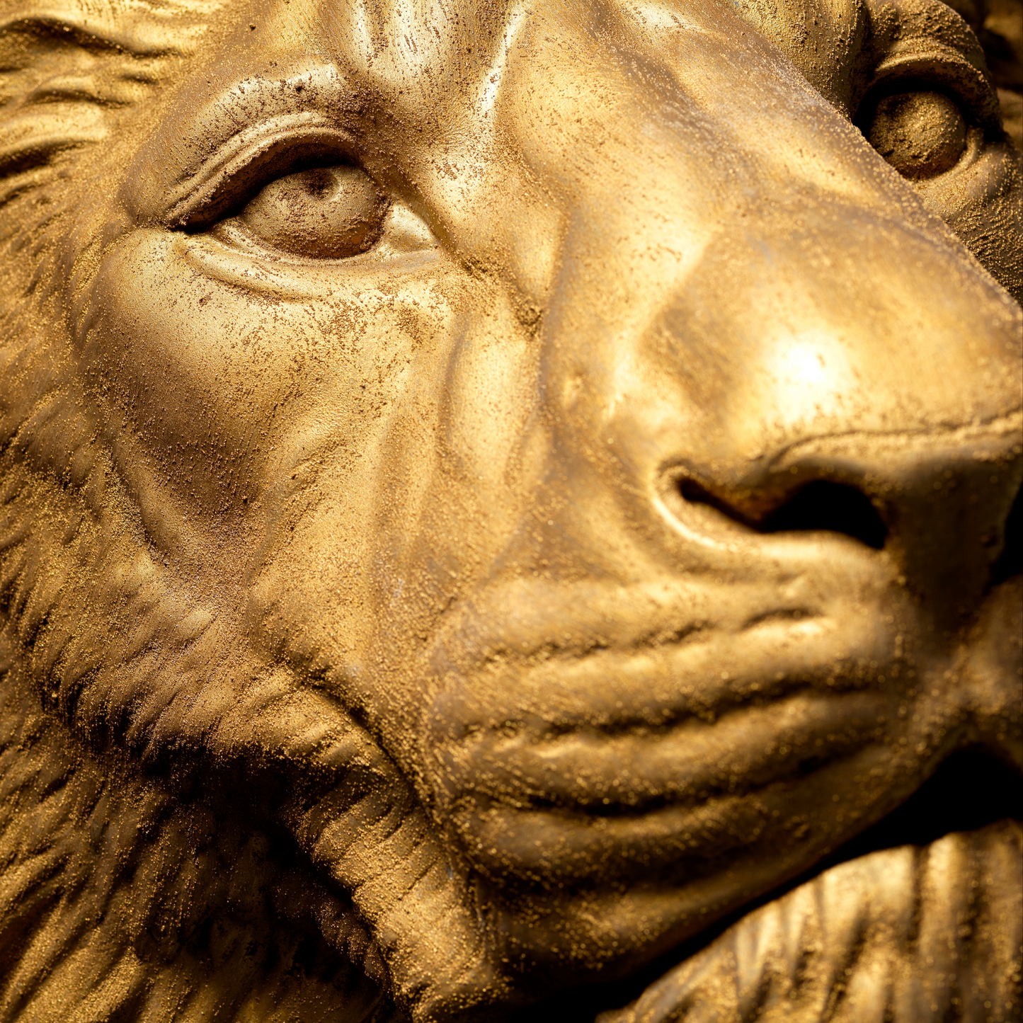 Extra Large 3D Wall Art Lion Sculpture (Gold Venetian Plaster)