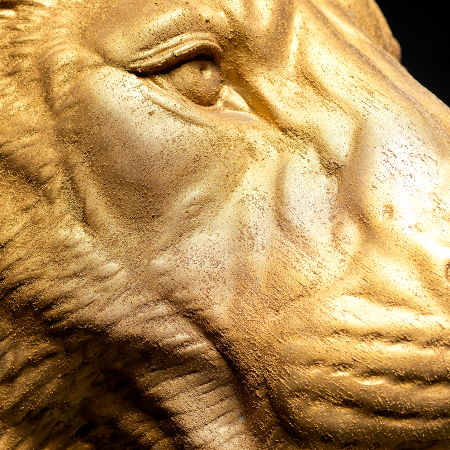 Extra Large 3D Wall Art Lion Sculpture (Gold Venetian Plaster)