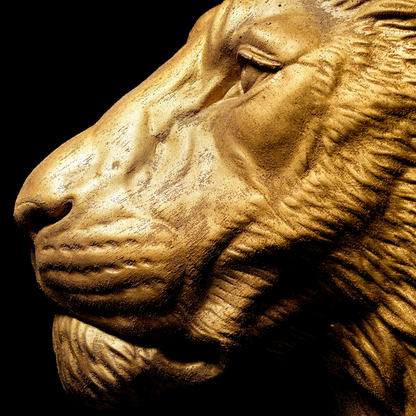 Extra Large 3D Wall Art Lion Sculpture (Gold Venetian Plaster)