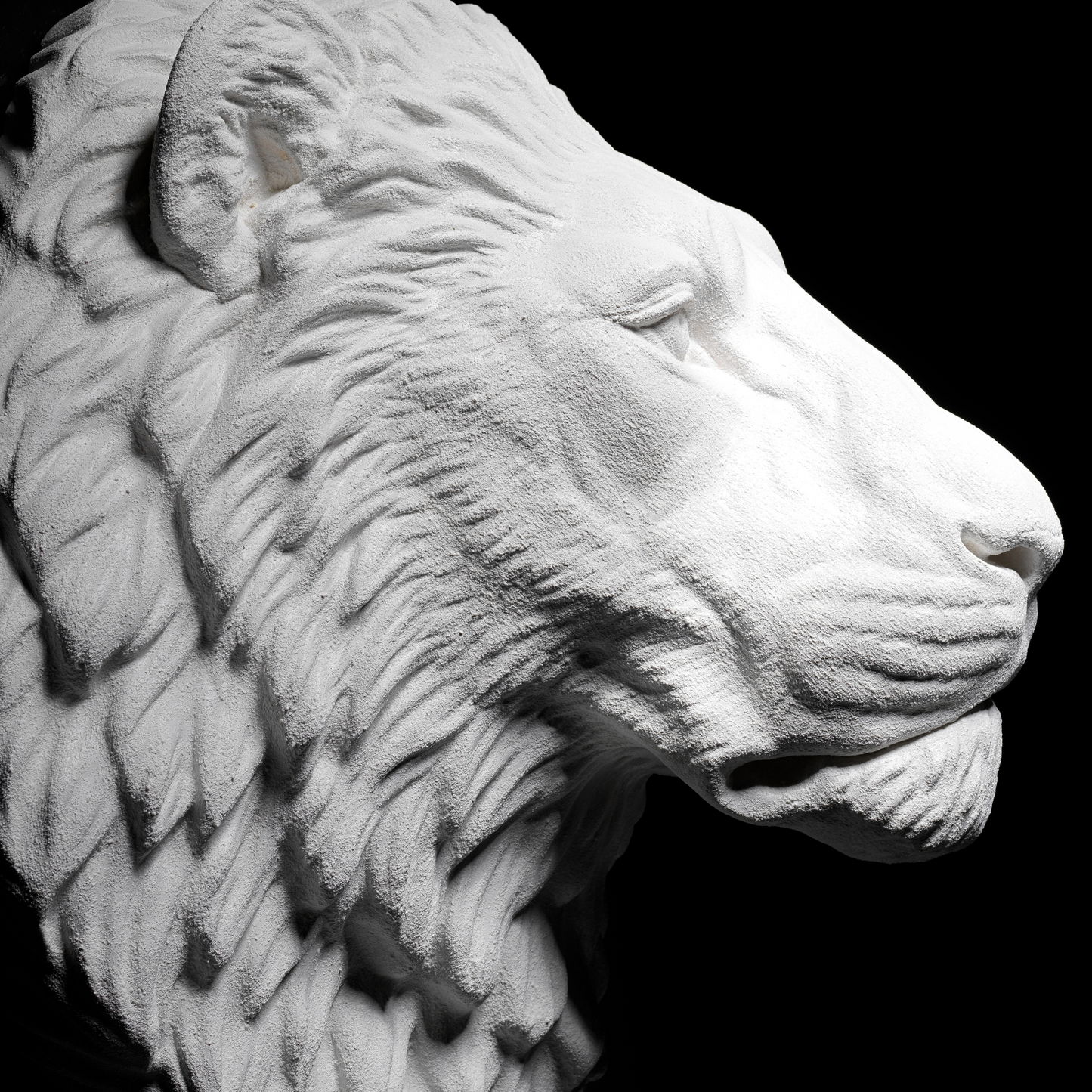 Extra Large 3D Wall Art Lion Sculpture (White Venetian Plaster)