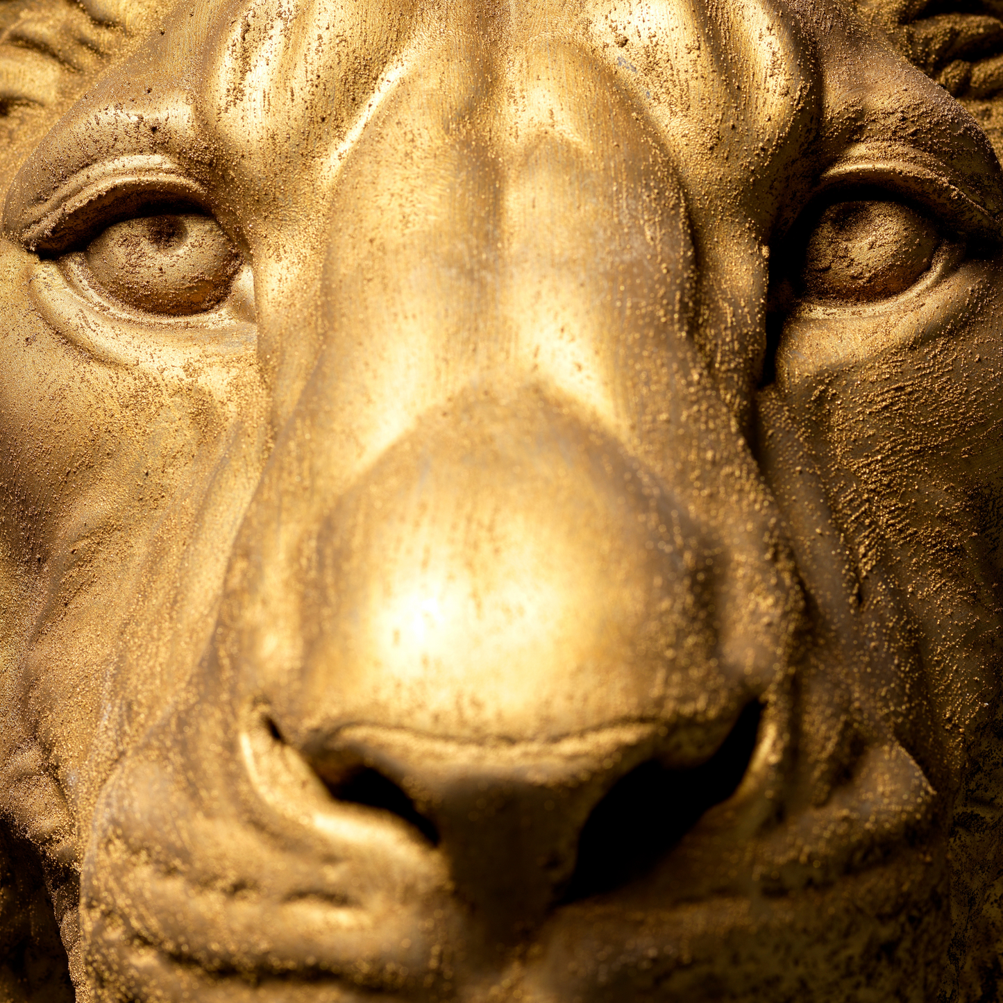 Extra Large 3D Wall Art Lion Sculpture (Gold Venetian Plaster)