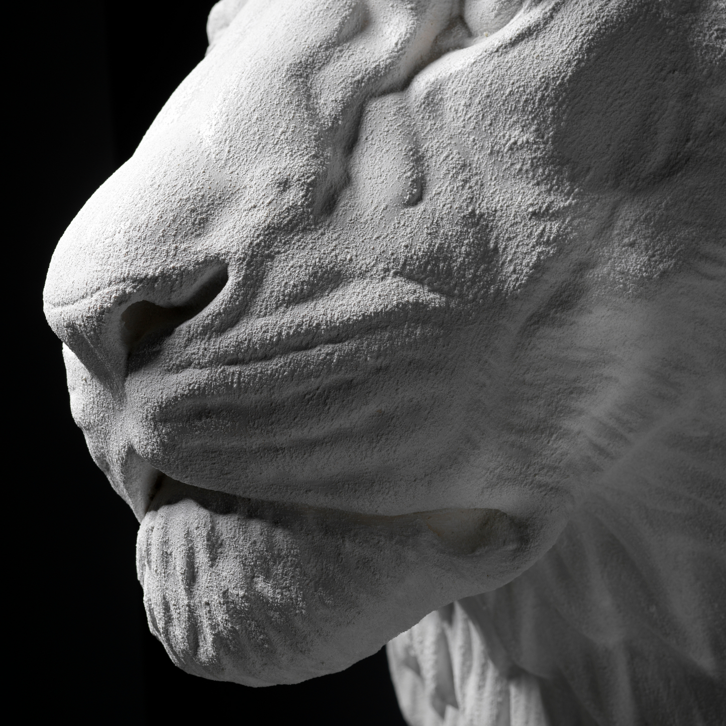 Extra Large 3D Wall Art Lion Sculpture (White Venetian Plaster)