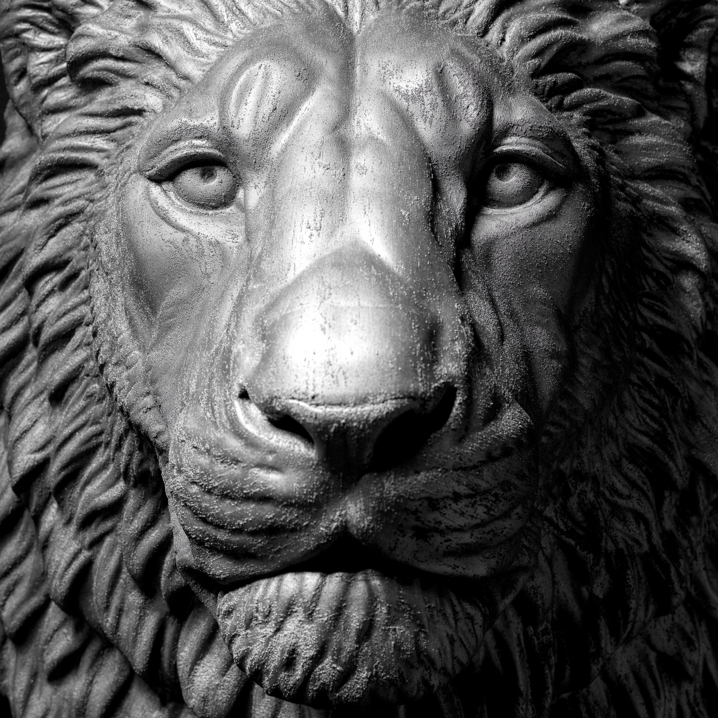 Extra Large 3D Wall Art Lion Sculpture (Platinum Venetian Plaster)